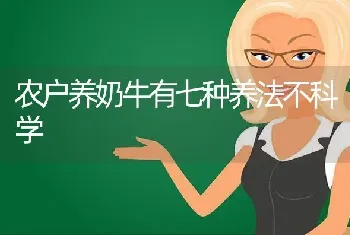 农户养奶牛有七种养法不科学