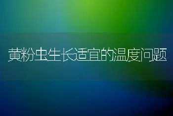 黄粉虫生长适宜的温度问题