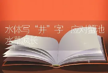 水体写“井”字 应对蟹池水草疯长