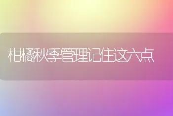 柑橘秋季管理记住这六点