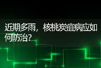 近期多雨,核桃炭疽病应如何防治?