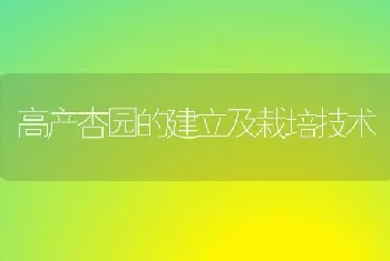 高产杏园的建立及栽培技术