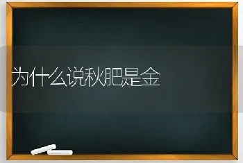 为什么说秋肥是金