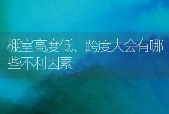 棚室高度低、跨度大会有哪些不利因素