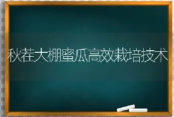 秋茬大棚蜜瓜高效栽培技术