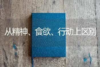 从精神、食欲、行动上区别