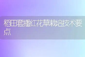 稻田套播红花草栽培技术要点