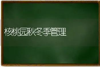 核桃园秋冬季管理