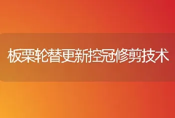 板栗轮替更新控冠修剪技术