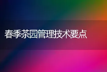 春季茶园管理技术要点