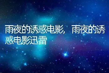 雨夜的诱惑