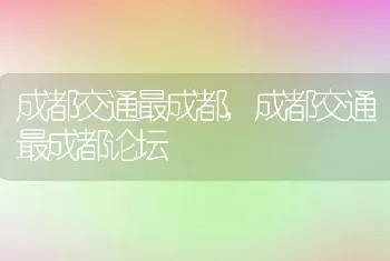 成都交通最成都