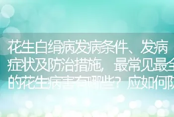 花生白绢病发病条件、发病症状及防治措施