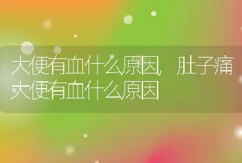 大便有血什么原因,肚子痛大便有血什么原因