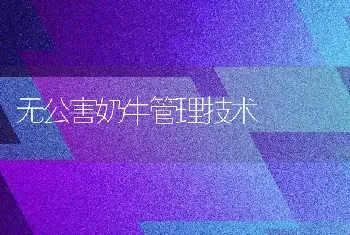 无公害奶牛管理技术