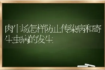 肉牛场怎样防止传染病和寄生虫病的发生