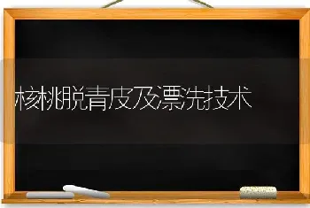 核桃脱青皮及漂洗技术