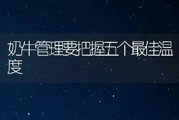 奶牛管理要把握五个最佳温度