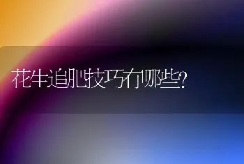 花生追肥技巧有哪些?