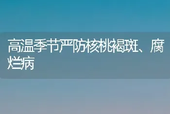 高温季节严防核桃褐斑、腐烂病