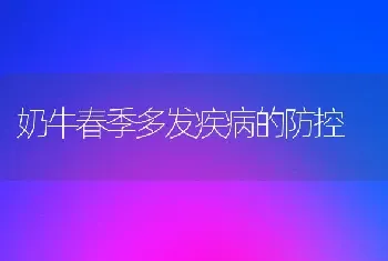 奶牛春季多发疾病的防控