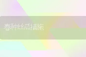 春种丝瓜措施