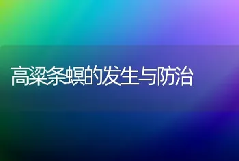 手扶拖拉机主动转向原因分析