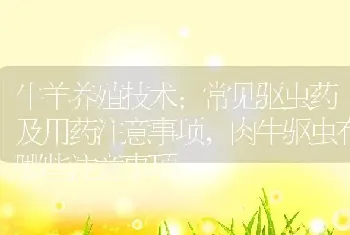 牛羊养殖技术:常见驱虫药及用药注意事项