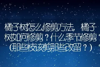 橘子树怎么修剪方法