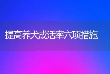 提高养犬成活率六项措施