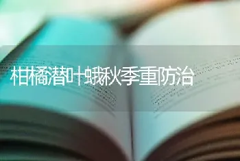 柑橘潜叶蛾秋季重防治