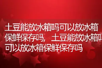 土豆能放冰箱吗可以放冰箱保鲜保存吗