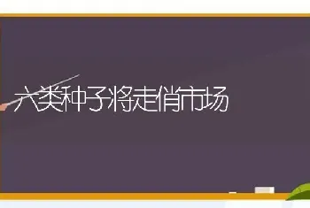 六类种子将走俏市场