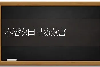 春播农田早防鼠害