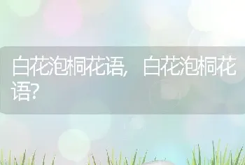 白花泡桐花语