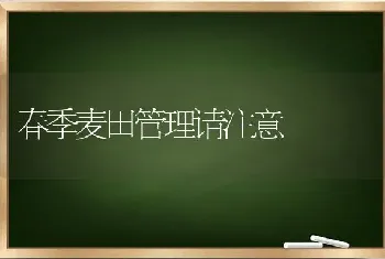 春季麦田管理请注意