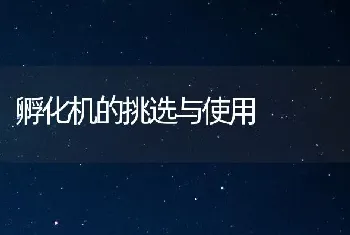 孵化机的挑选与使用