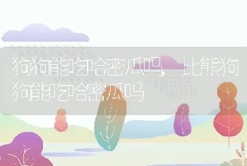 狗狗能吃哈密瓜吗