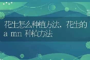 花生怎么种植方法