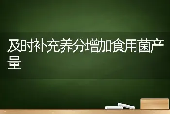 及时补充养分增加食用菌产量