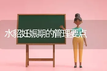 水貂妊娠期的管理要点