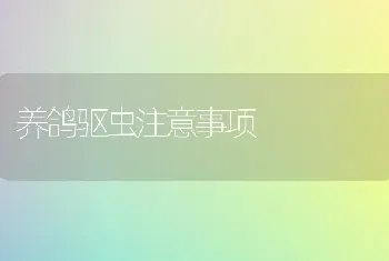 养鸽驱虫注意事项