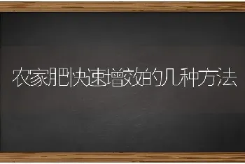 农家肥快速增效的几种方法