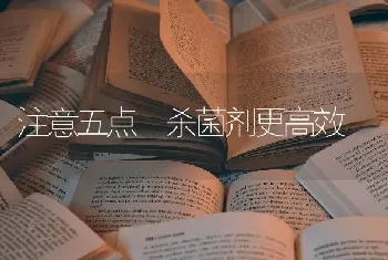 注意五点 杀菌剂更高效