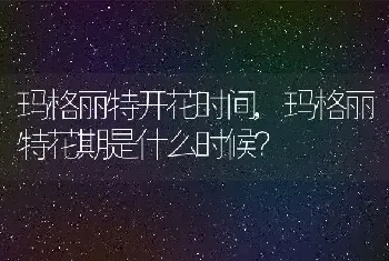 温度计量体温多长时间