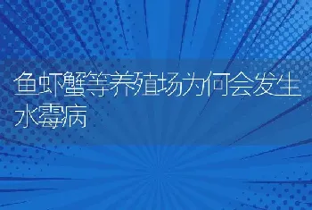 鱼虾蟹等养殖场为何会发生水霉病