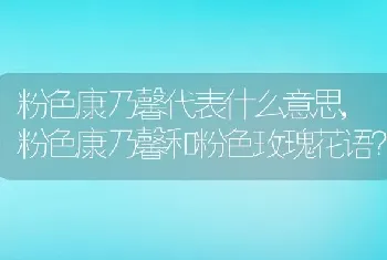 粉色康乃馨代表什么意思