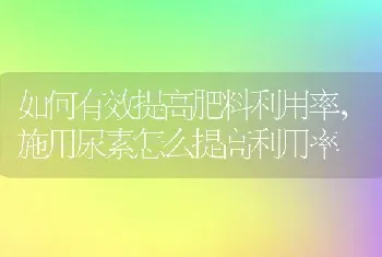 如何有效提高肥料利用率