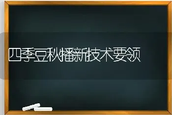 四季豆秋播新技术要领