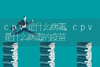 cpv是什么病毒